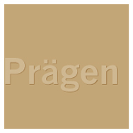 PRAEGEN